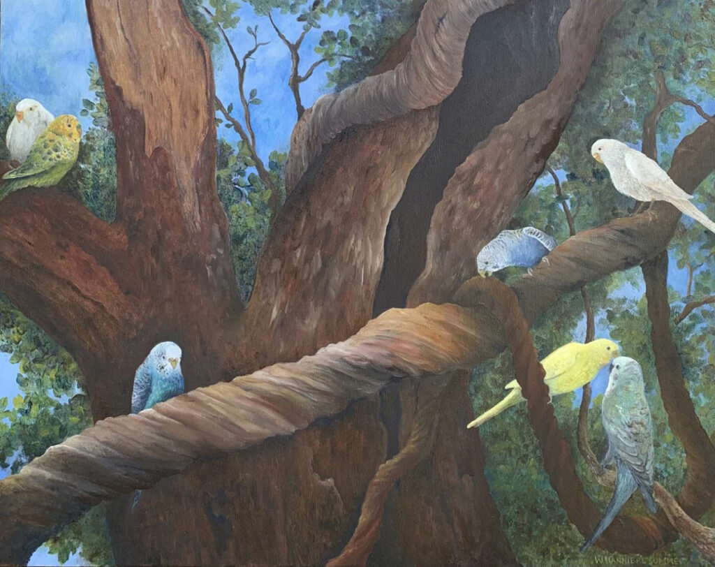 Ethan’s-Budgie’s-Ptg