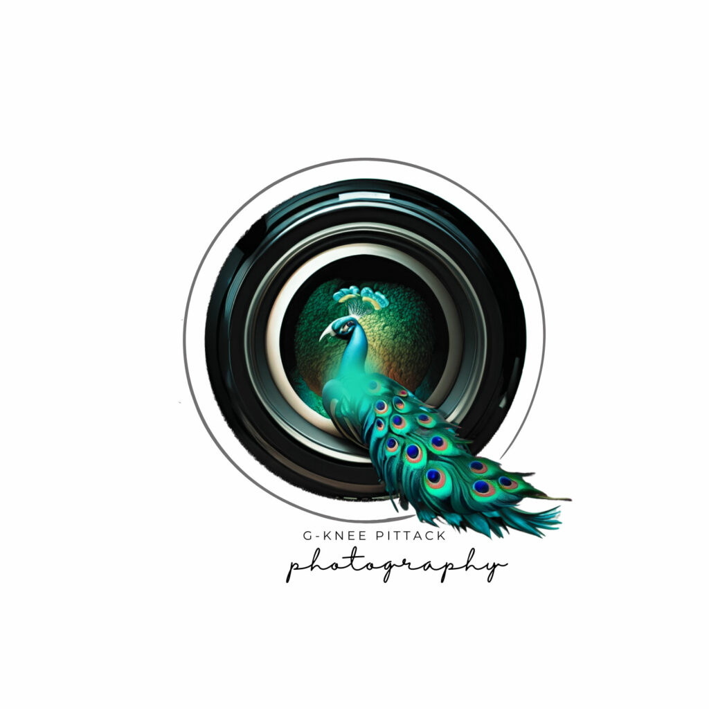 Pittack_0091
